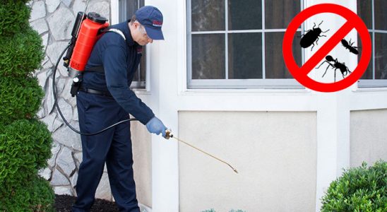Doğanlar Böcek İlaçlama böcek ilaçlama ve haşere kontrolü — ilaclama-tr.com